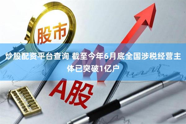 炒股配资平台查询 截至今年6月底全国涉税经营主体已突破1亿户